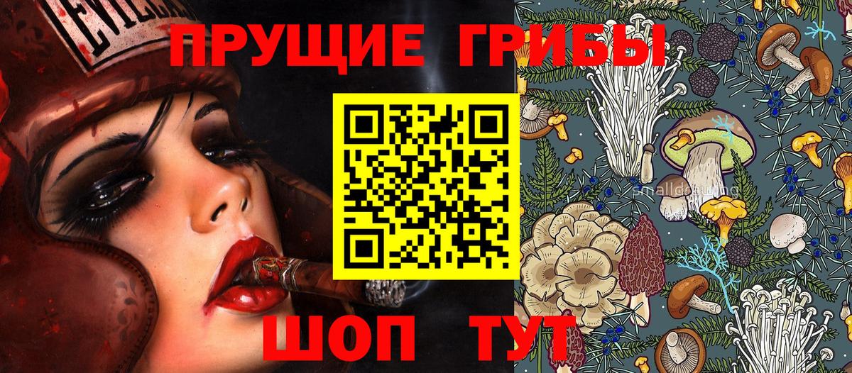 Псилоцибиновые грибы мицелий Орёл