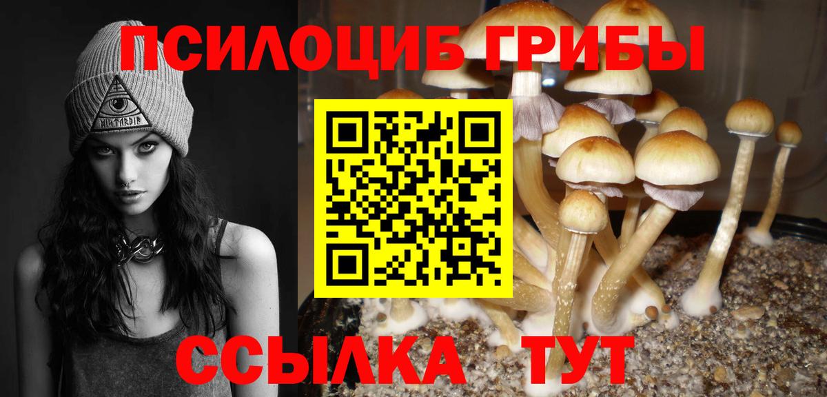 где можно купить   Вход с VPN  Орёл  Псилоцибиновые грибы Magic Shrooms 